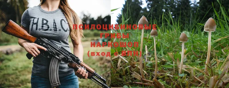 где найти наркотики  дарк нет состав  Псилоцибиновые грибы MAGIC MUSHROOMS  Дивногорск 